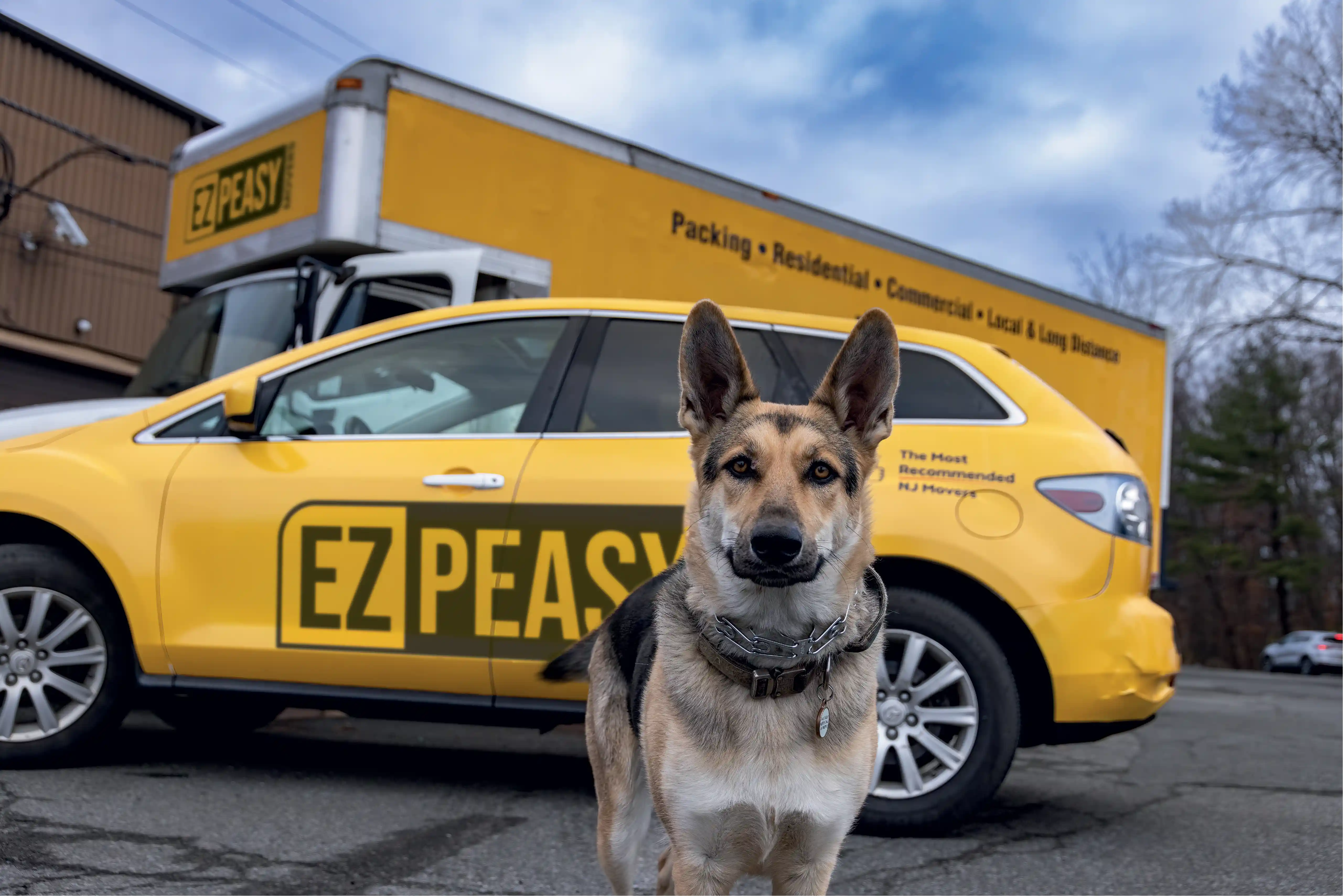 EZ Peasy truck with dog